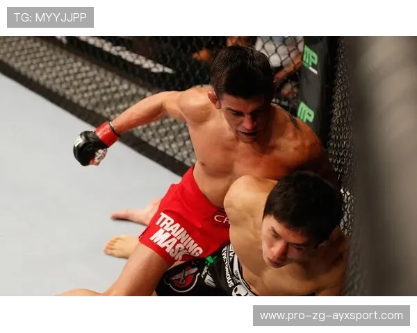 多米尼克长跑运动队取得佳绩，多米尼克 poi